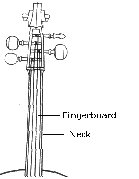 cello parts