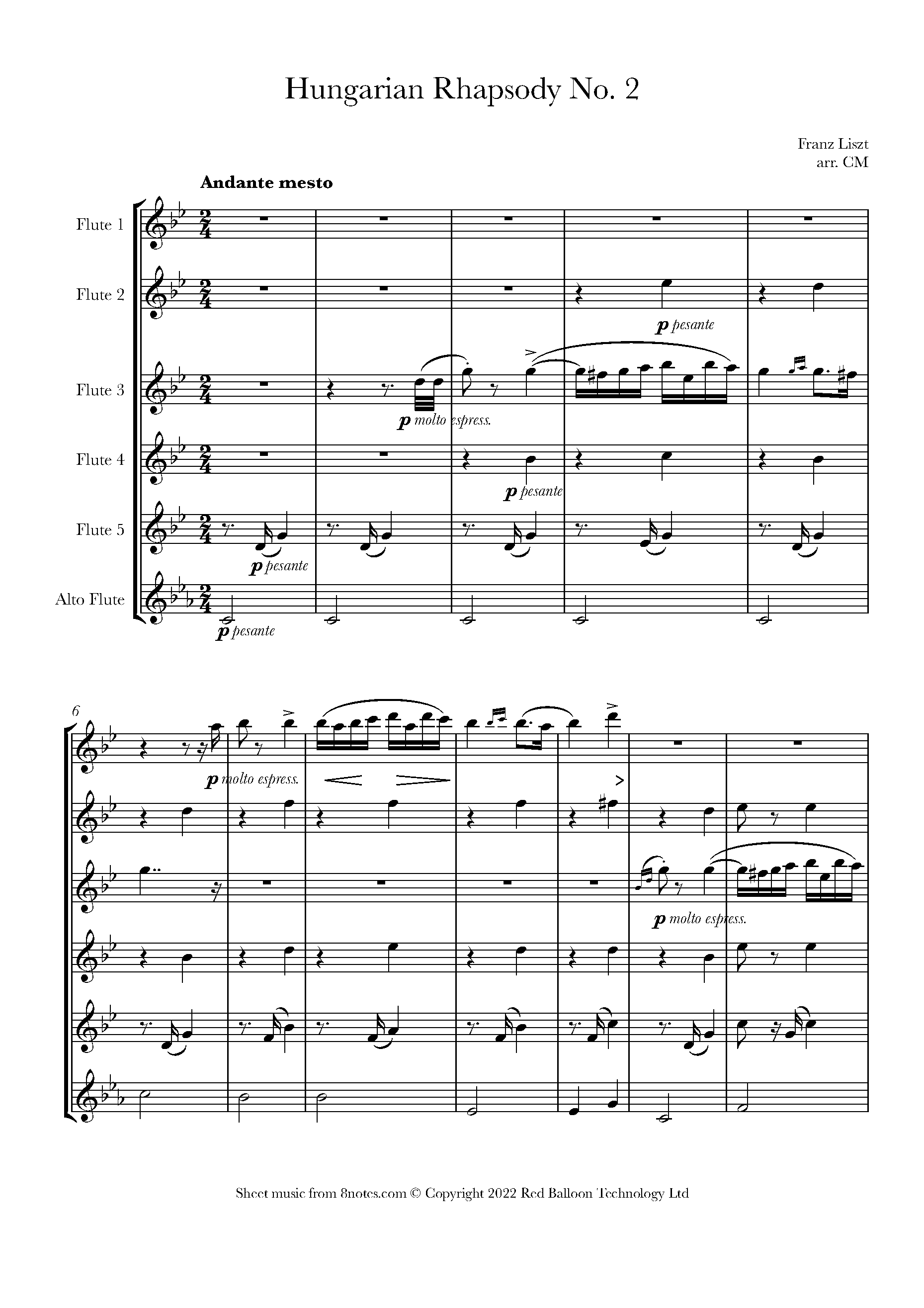 Liszt Hungarian Rhapsody No 2 Sheet Music For Flute Choir 8159