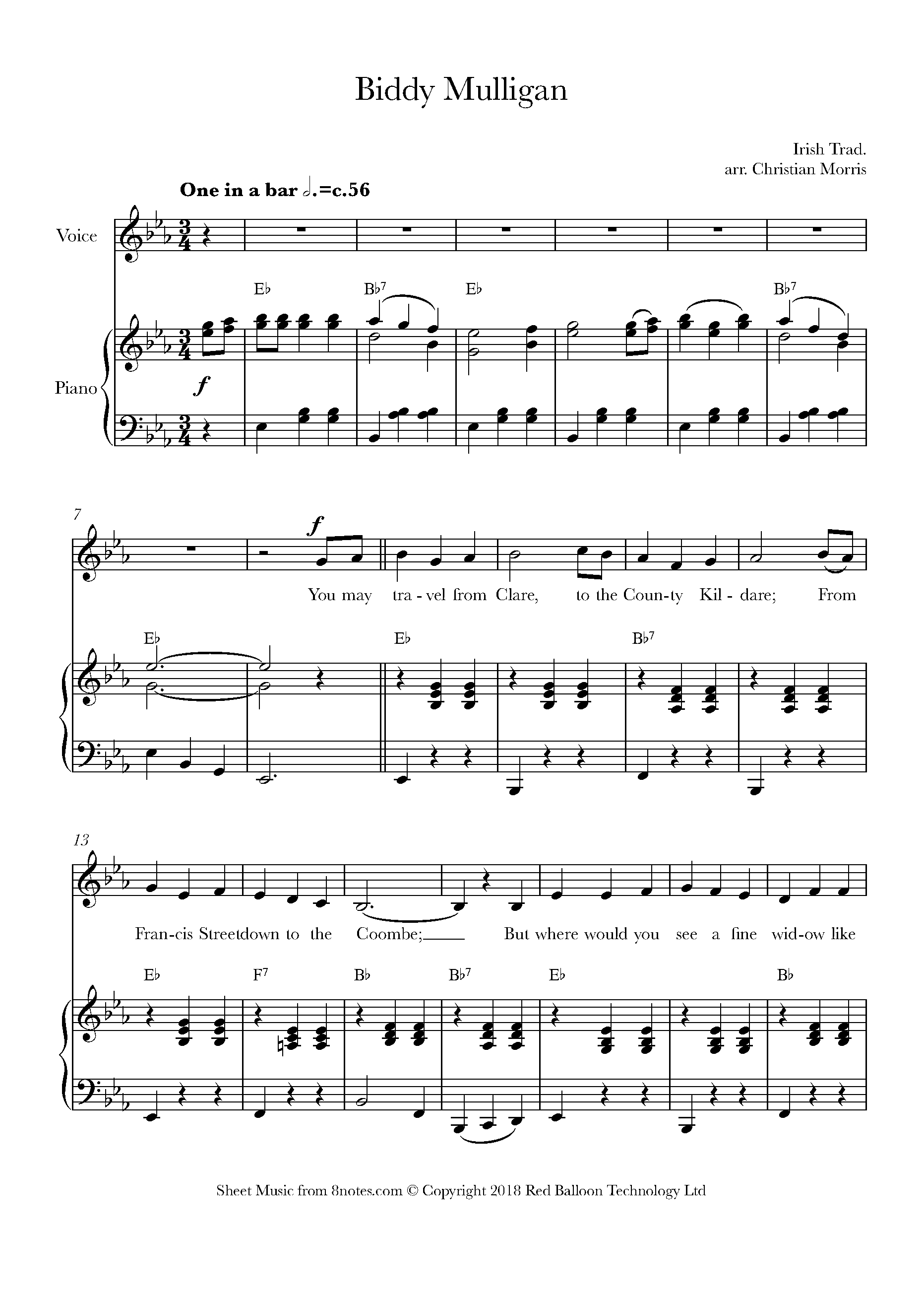 Biddy Mulligan Sheet music for Voice - 8notes.com